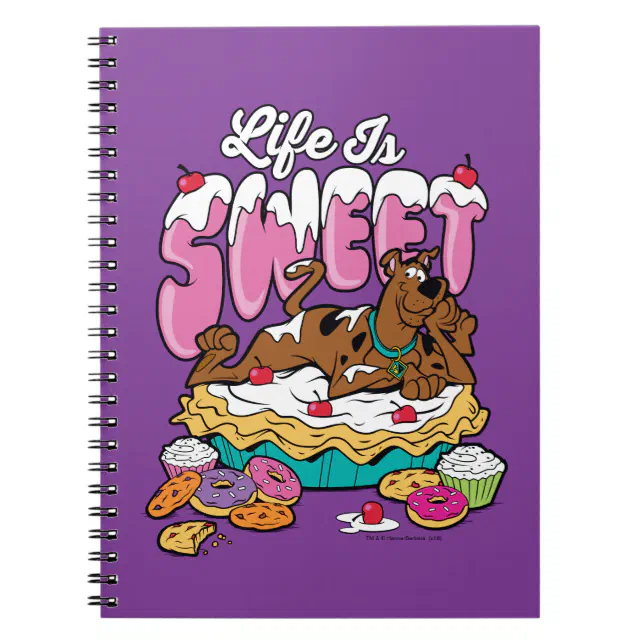 Scooby-Doo 'Life Is Sweet' Boys T-Shirt - Sport Grey, Youth Size 5-6 Years