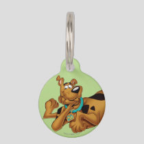 Scooby-Doo Lying Down Pet ID Tag