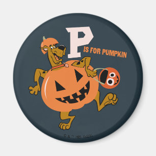 Scooby-Doo   P is for Pumpkin Magnet