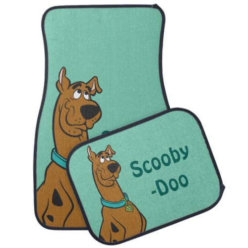 Scooby_Doo Puppy Eyes Car Mat