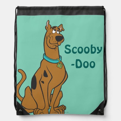 Scooby_Doo Puppy Eyes Drawstring Bag