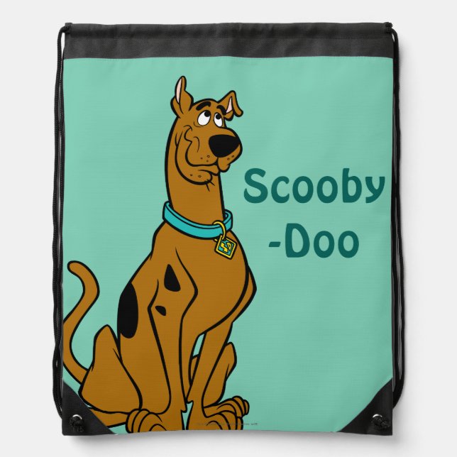 Scooby-Doo Puppy Eyes Drawstring Bag (Front)