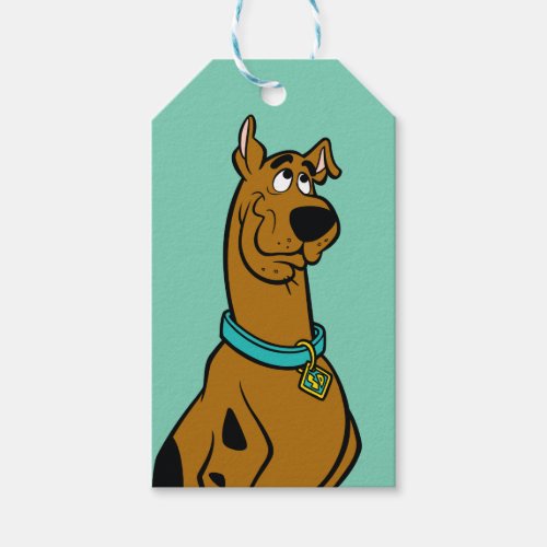 Scooby_Doo Puppy Eyes Gift Tags