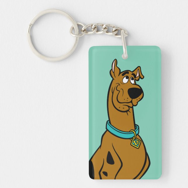 Scooby-Doo Puppy Eyes Keychain (Front)