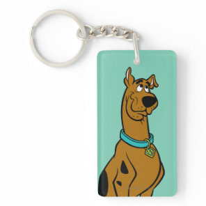 Scooby-Doo Puppy Eyes Keychain