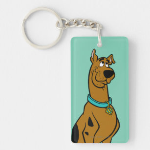 Scooby-Doo Puppy Eyes Keychain