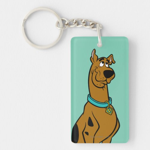 Scooby_Doo Puppy Eyes Keychain