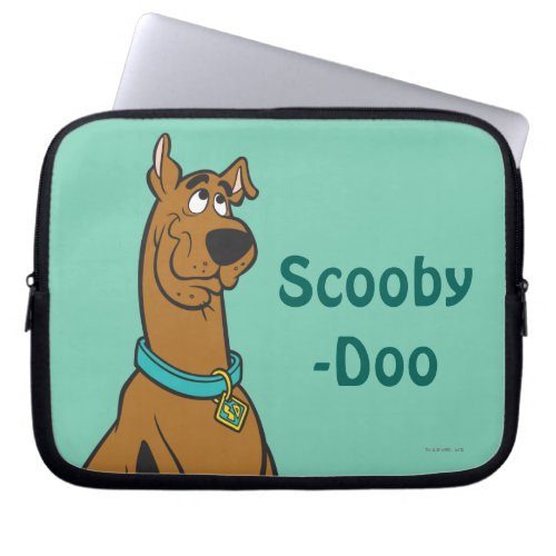 Scooby_Doo Puppy Eyes Laptop Sleeve