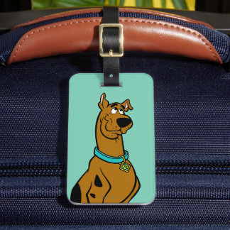 Scooby-Doo Puppy Eyes Luggage Tag