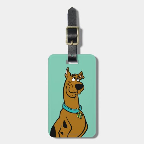 Scooby_Doo Puppy Eyes Luggage Tag