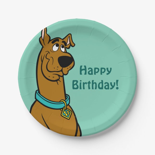 Scooby-Doo Puppy Eyes Paper Plates (Front)