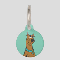 Scooby-Doo Puppy Eyes Pet Name Tag