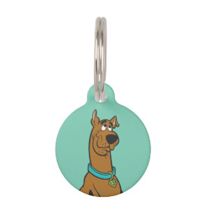Scooby-Doo Puppy Eyes Pet Name Tag