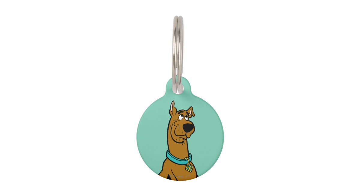 Scooby-Doo Puppy Eyes Pet Name Tag