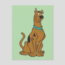 Scooby-Doo Puppy Eyes Postcard