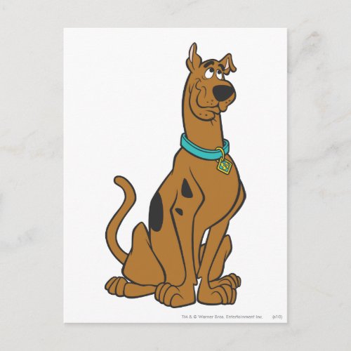 Scooby_Doo Puppy Eyes Postcard