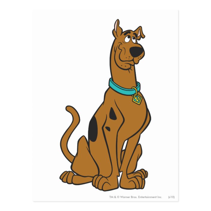 Scooby-Doo Puppy Eyes Postcard | Zazzle.com