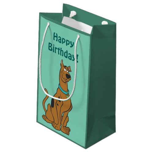 Scooby_Doo Puppy Eyes Small Gift Bag