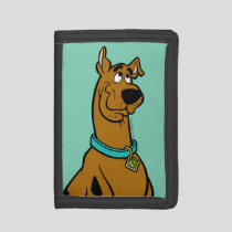 Scooby-Doo Puppy Eyes Trifold Wallet