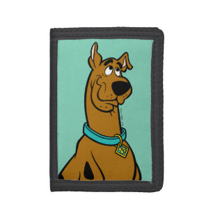 Scooby-Doo Puppy Eyes Trifold Wallet