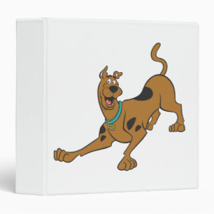 Scooby-Doo Ready To Play 3 Ring Binder