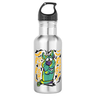 Scooby-Doo Ruh Roh Raggy Stainless Steel Water Bottle