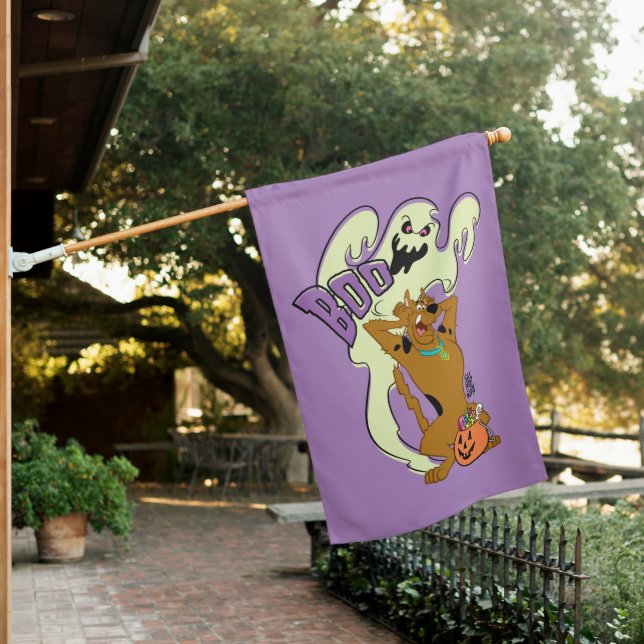 Scooby-Doo | Scooby-Doo Boo House Flag (In SItu)