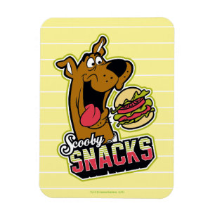 Scooby-Doo "Scooby Snacks" Logo Magnet