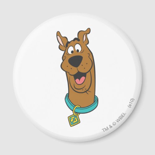 Scooby_Doo Smiling Face Magnet