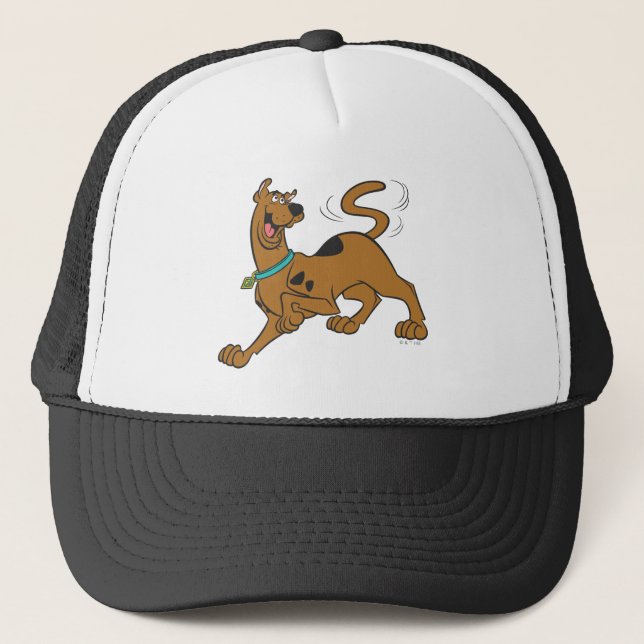 Scooby-Doo Tail Wag Trucker Hat (Front)
