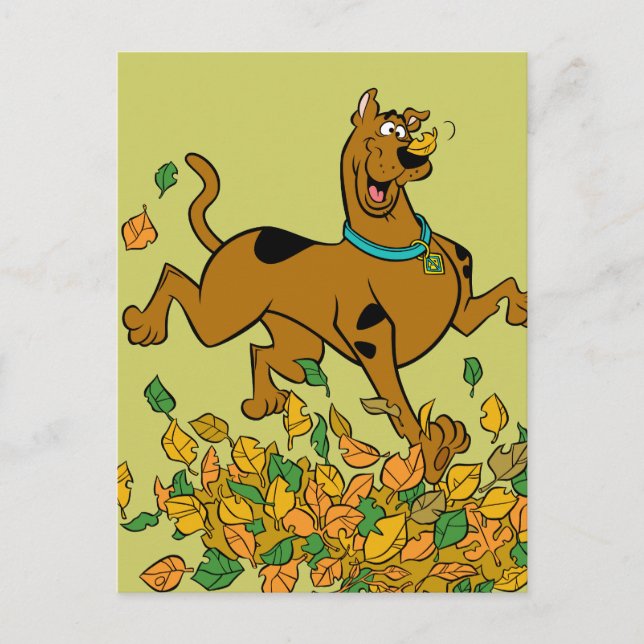 Scooby-Doo Thanksgiving Leaves Holiday Postcard (Front)
