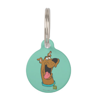 Scooby-Doo Tongue Out Pet ID Tag