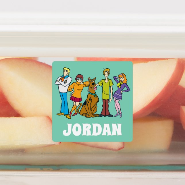 Scooby-Doo | Whole Gang 14 Mystery Inc Labels (Affixed)