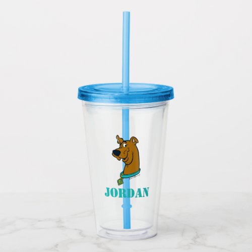 Scooby_Doo Winking Acrylic Tumbler