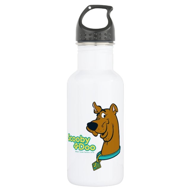 Scooby-Doo Winking Stainless Steel Water Bottle (Front)