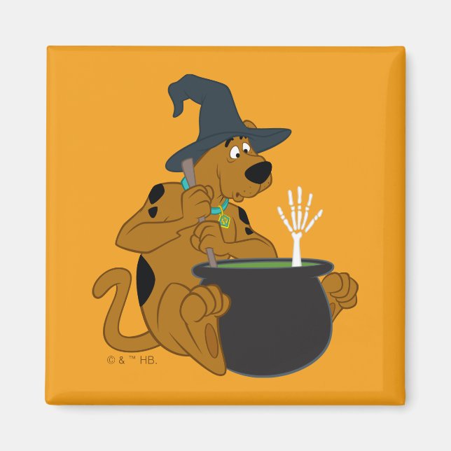 Scooby-Doo Witch's Cauldron Magnet (Front)