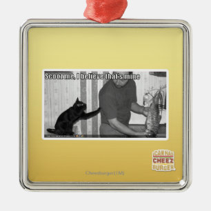 Scooz me, I believe that's mine Metal Ornament
