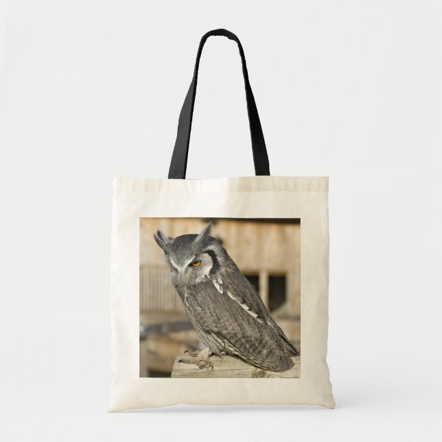 Scops Owl Bag (Front)