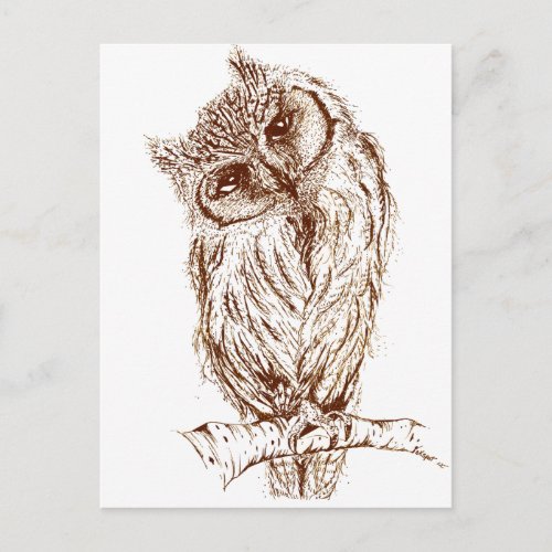 Scops owl by Inkspot Postcard
