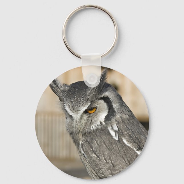 Scops Owl Keychain (Front)