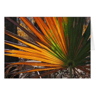 Scorched Palmetto Cards