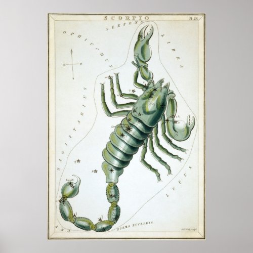 Scorpio Astrological Drawing Poster