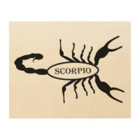Scorpio Black Scorpion Star Sign
