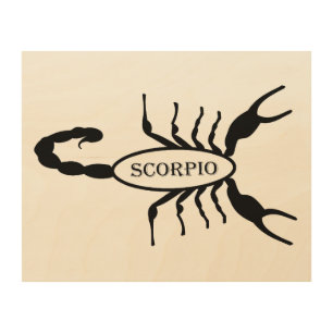 Scorpio Black Scorpion Star Sign