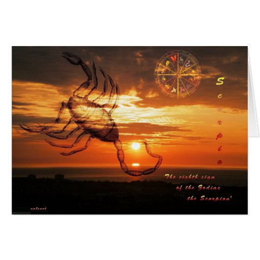 scorpio cards (Front Horizontal)