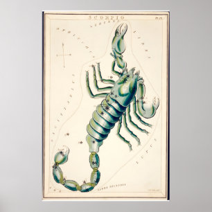 Scorpio Constellation Fine Art Print Antique