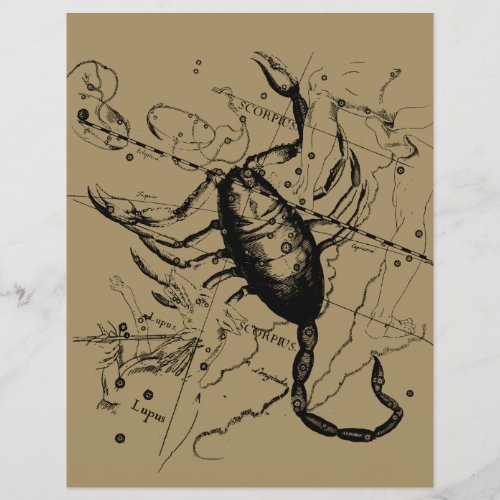Scorpio Constellation Hevelius 1690 Decor Flyer