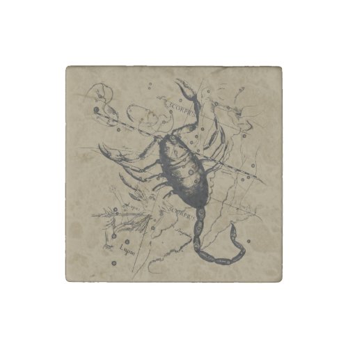 Scorpio Constellation Hevelius 1690 Decor Stone Magnet