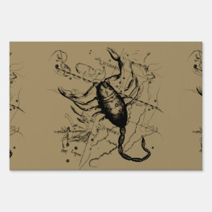 Scorpio Constellation Hevelius 1690 Decor Yard Sign