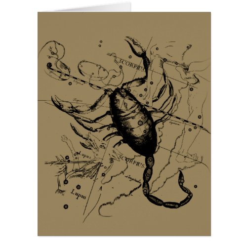 Scorpio Constellation Hevelius 1690 Engraving